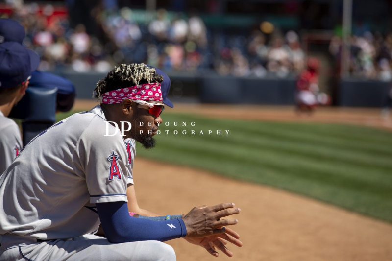 NatBailey-70x200_-24