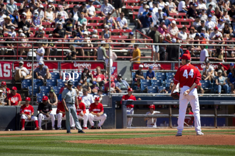 NatBailey-70x200_-25